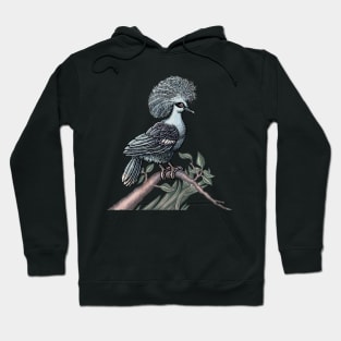 Fancy Bird (Western Crowned  Pigeon) Hoodie